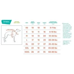 Frisco Lightweight Packable Insulated Dog & Cat Quilted Puffer Coat, Ocean Teal 11 Frisco Lightweight Packable Insulated Dog & Cat Quilted Puffer Coat, Ocean Teal -Frisco 268280 PT1. AC SS1800 V1628637706