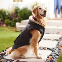 Frisco Mid-Heavyweight Cinching Insulated Dog & Cat Parka, Black/Red Plaid 15 Frisco Mid-Heavyweight Cinching Insulated Dog & Cat Parka, Black/Red Plaid -Frisco 268382 PT8. AC SS1800 V1629762008