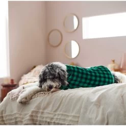 Frisco Dog & Cat Cozy Plush Fleece PJs, Green Plaid 14 Frisco Dog & Cat Cozy Plush Fleece PJs, Green Plaid -Frisco 268517 PT5. AC SS1800 V1637644798