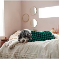 Frisco Dog & Cat Cozy Plush Fleece PJs, Green Plaid 15 Frisco Dog & Cat Cozy Plush Fleece PJs, Green Plaid -Frisco 268517 PT8. AC SS1800 V1629755447
