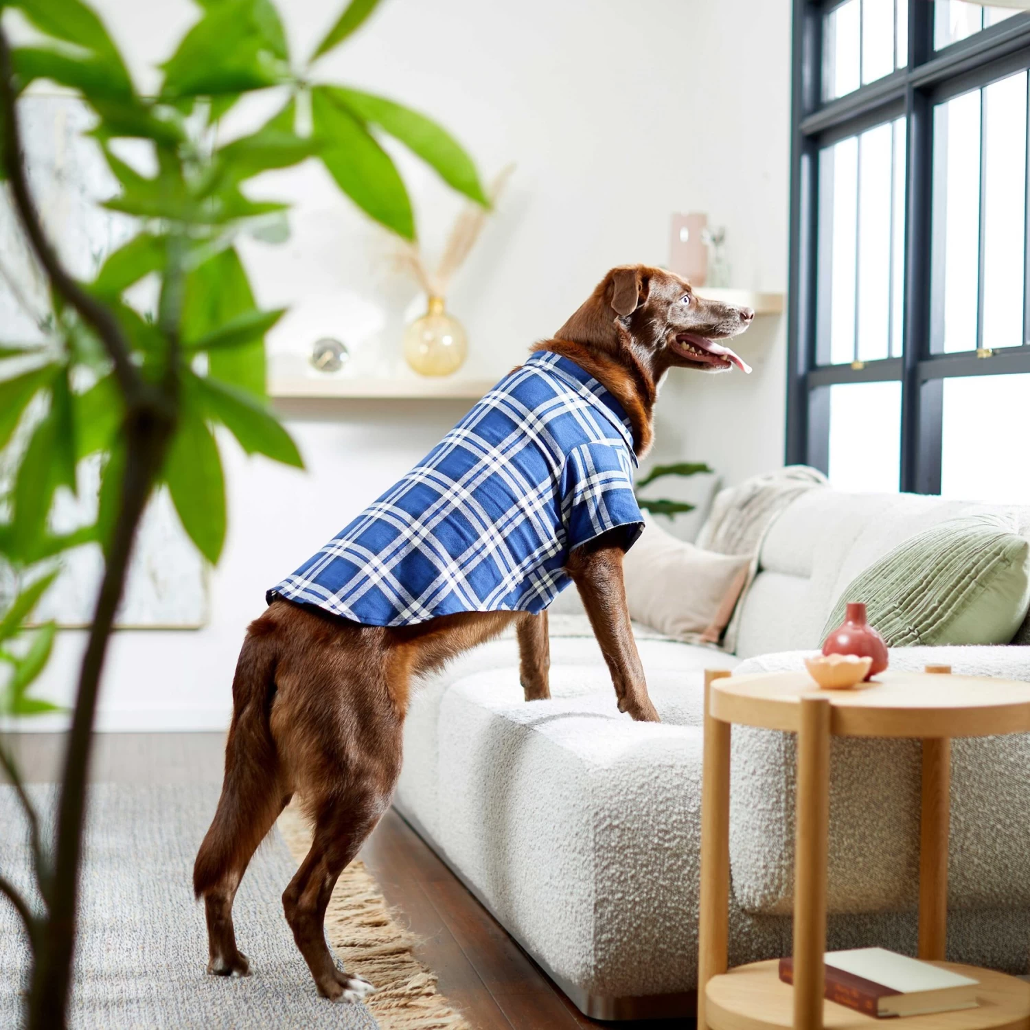 Frisco Navy Plaid Dog & Cat Flannel Shirt 10 Frisco Navy Plaid Dog & Cat Flannel Shirt - Image 8