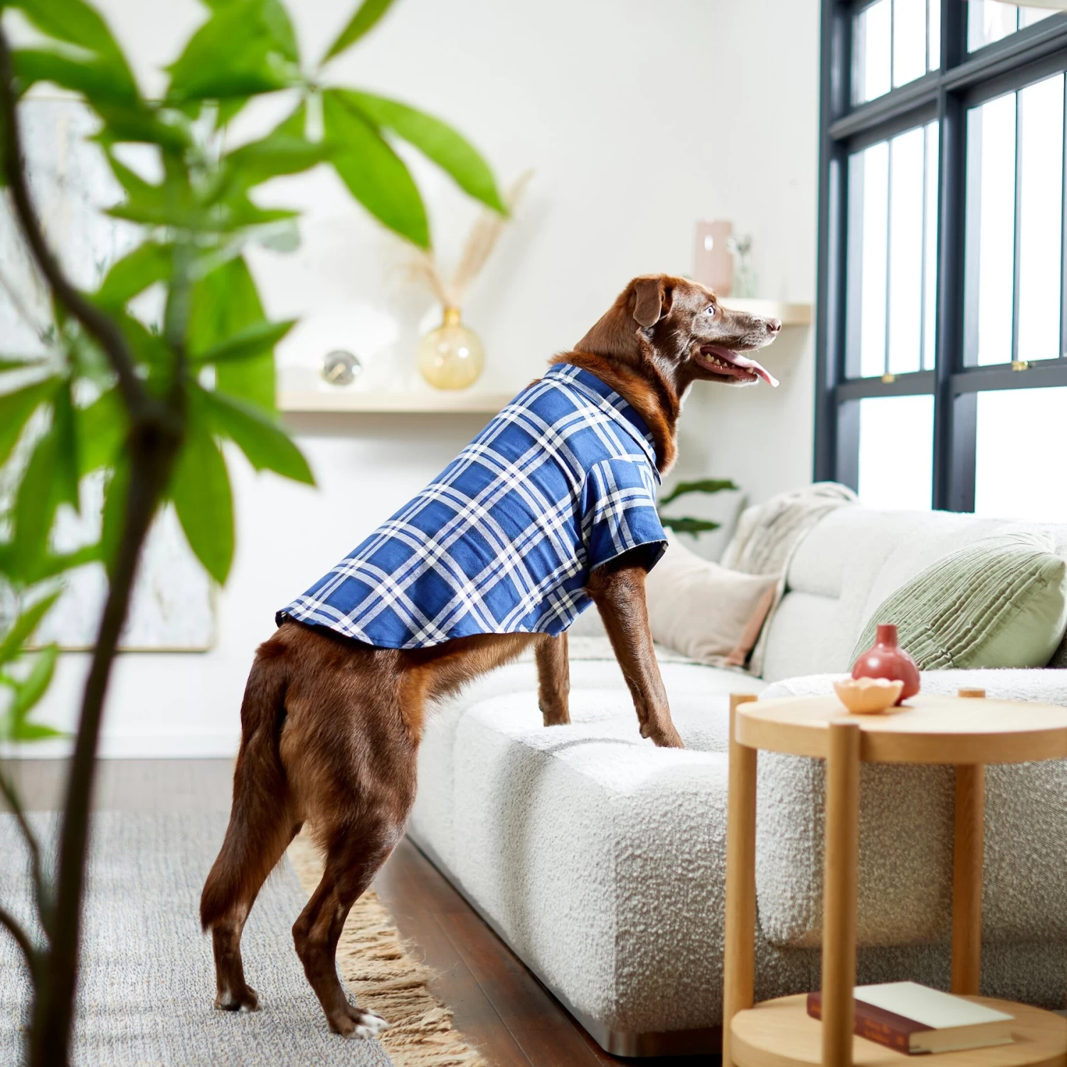 Frisco Navy Plaid Dog & Cat Flannel Shirt 11 Frisco Navy Plaid Dog & Cat Flannel Shirt - Image 9