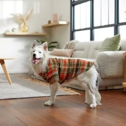 Frisco Orange & Olive Plaid Dog & Cat Flannel Shirt -Frisco 268612 PT8. AC SS1800 V1629759992