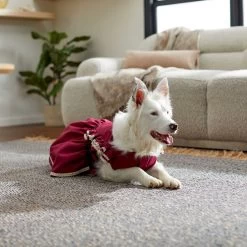 Frisco Plum Dog & Cat Dress -Frisco 268677 PT5. AC SS1800 V1637675815