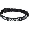 Frisco Nylon Personalized Breakaway Cat Collar With Bell -Frisco 270731 MAIN. AC SS1800 V1619050045