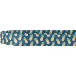 Frisco Pineapple Polyester Personalized Breakaway Cat Collar With Bell 11 Frisco Pineapple Polyester Personalized Breakaway Cat Collar With Bell -Frisco 271597 PT3. AC SS1800 V1618937222