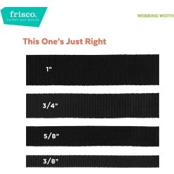 Frisco Rose Polyester Personalized Breakaway Cat Collar With Bell -Frisco 271600 PT6. AC SS1800 V1629992541