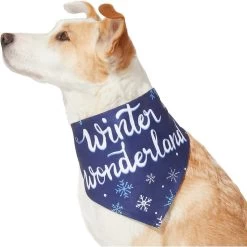 Frisco Winter Wonderland Dog & Cat Bandana 13 Frisco Winter Wonderland Dog & Cat Bandana -Frisco 276279 PT3. AC SS1800 V1637688134
