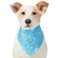 Frisco Festive Hanukkah Dog & Cat Bandana -Frisco 276282 PT3. AC SS1800 V1637673704