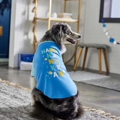 Frisco Happy Hanukkah Dog & Cat T-shirt 13 Frisco Happy Hanukkah Dog & Cat T-shirt -Frisco 276480 PT5. AC SS1800 V1637646712