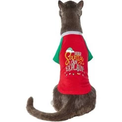 Frisco Santa I Can Explain Dog & Cat T-shirt 10 Frisco Santa I Can Explain Dog & Cat T-shirt -Frisco 276496 PT2. AC SS1800 V1637682452