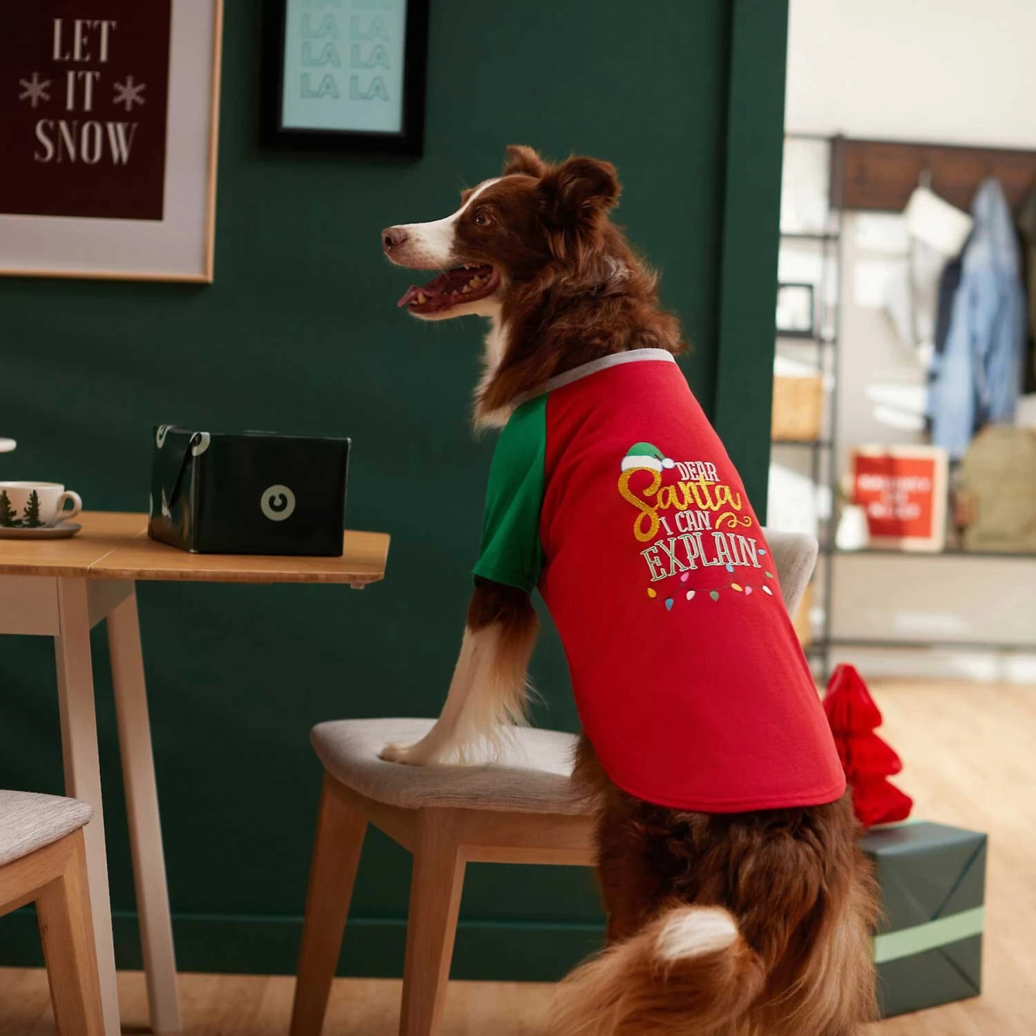 Frisco Santa I Can Explain Dog & Cat T-shirt 8 Frisco Santa I Can Explain Dog & Cat T-shirt - Image 6