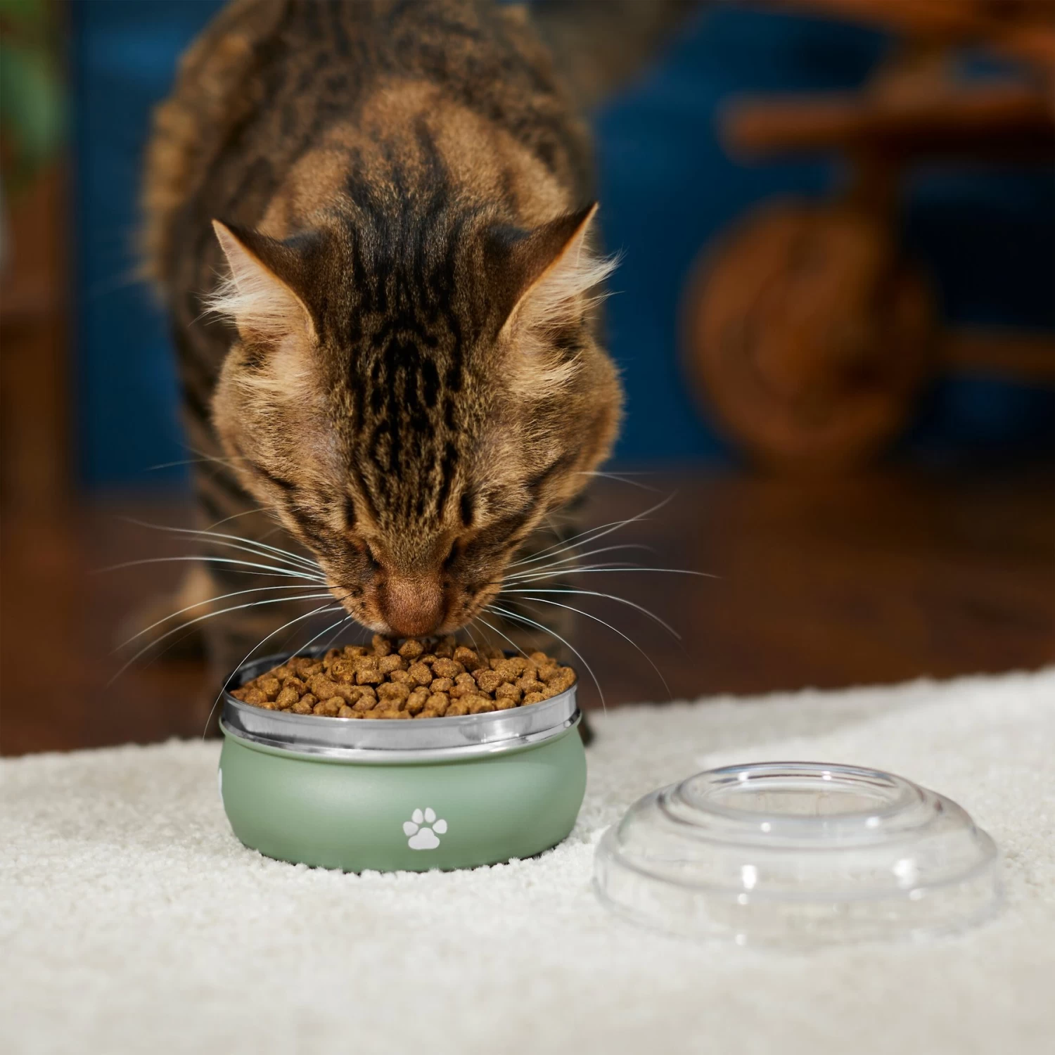 Frisco Travel Non-skid Stainless Steel Dog & Cat Bowl 6 Frisco Travel Non-skid Stainless Steel Dog & Cat Bowl - Image 4