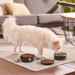 Frisco Travel Stainless Steel Dog & Cat Bowl -Frisco 277509 PT2. AC SS1800 V1630345984