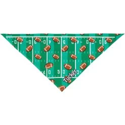 Frisco Football Personalized Dog & Cat Bandana -Frisco 287044 PT3. AC SS1800 V1623246175