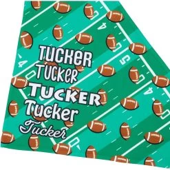 Frisco Football Personalized Dog & Cat Bandana -Frisco 287044 PT4. AC SS1800 V1623246178