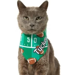 Frisco Football Personalized Dog & Cat Bandana -Frisco 287044 PT7. AC SS1800 V1623246789