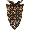 Frisco Candy Corn Personalized Dog & Cat Bandana 2 Frisco Candy Corn Personalized Dog & Cat Bandana -Frisco 287056 MAIN. AC SS1800 V1623245874