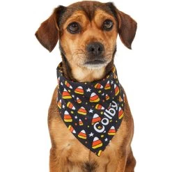 Frisco Candy Corn Personalized Dog & Cat Bandana 17 Frisco Candy Corn Personalized Dog & Cat Bandana -Frisco 287056 PT6. AC SS1800 V1623246504