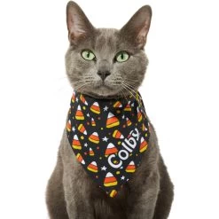Frisco Candy Corn Personalized Dog & Cat Bandana 18 Frisco Candy Corn Personalized Dog & Cat Bandana -Frisco 287056 PT7. AC SS1800 V1623246828