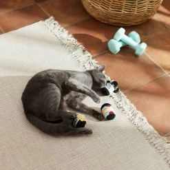 Frisco Pre-Workout & Protein Plush Cat Toy With Catnip, 3 Count 7 Frisco Pre-Workout & Protein Plush Cat Toy With Catnip, 3 Count -Frisco 288953 PT3. AC SS1800 V1638287817