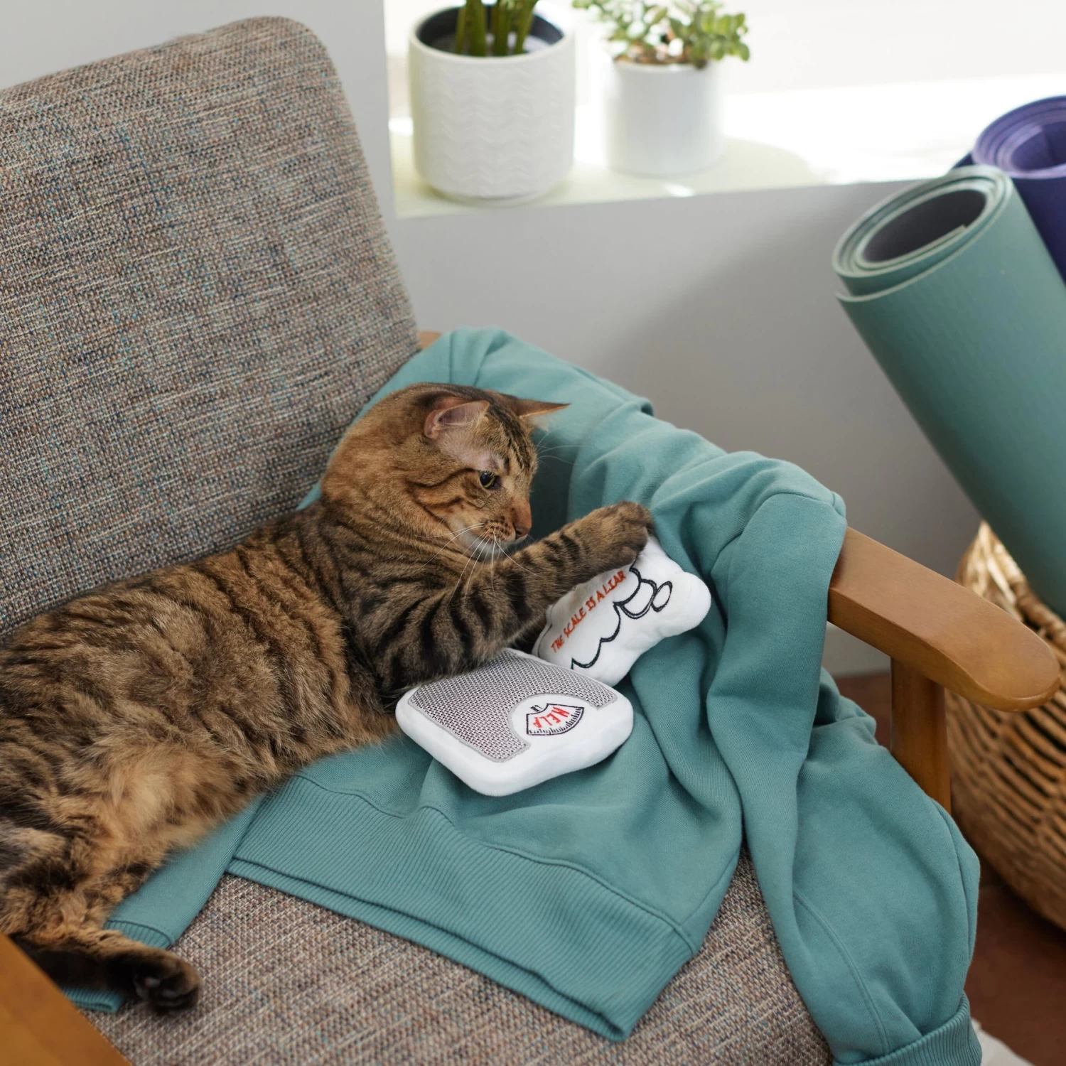 Frisco Scale & Message Bubble Plush Cat Toy With Catnip, 2 Count 5 Frisco Scale & Message Bubble Plush Cat Toy With Catnip, 2 Count - Image 3