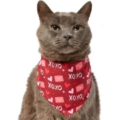 Frisco Love Letters Dog & Cat Bandana -Frisco 292051 PT2. AC SS1800 V1637269050