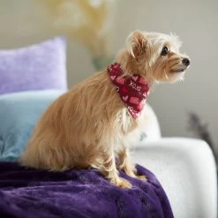 Frisco Love Letters Dog & Cat Bandana -Frisco 292051 PT7. AC SS1800 V1702598609