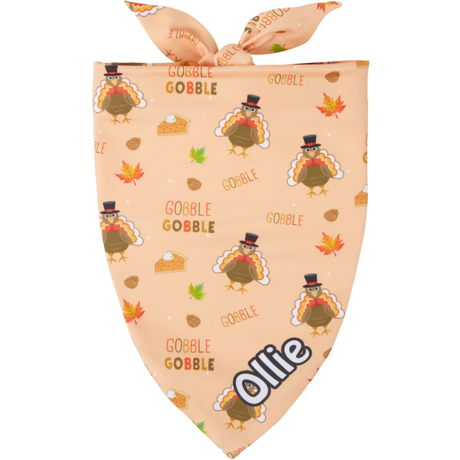 Frisco Quirky Thanksgiving Personalized Dog & Cat Bandana 3 Frisco Quirky Thanksgiving Personalized Dog & Cat Bandana