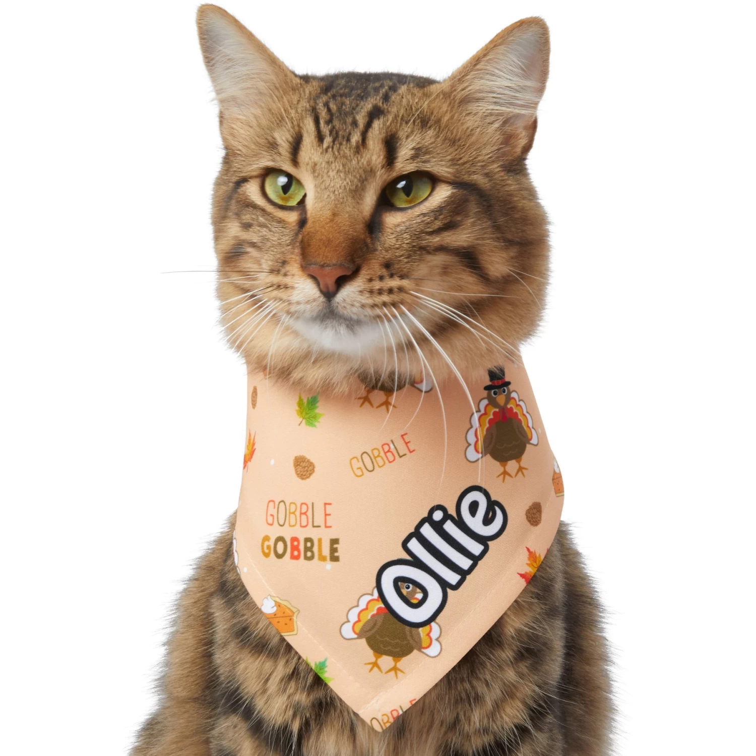 Frisco Quirky Thanksgiving Personalized Dog & Cat Bandana 10 Frisco Quirky Thanksgiving Personalized Dog & Cat Bandana - Image 8