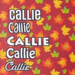 Frisco Fall Leaves Personalized Dog & Cat Bandana 15 Frisco Fall Leaves Personalized Dog & Cat Bandana -Frisco 296994 PT4. AC SS1800 V1627654575