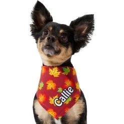 Frisco Fall Leaves Personalized Dog & Cat Bandana 17 Frisco Fall Leaves Personalized Dog & Cat Bandana -Frisco 296994 PT6. AC SS1800 V1627654351