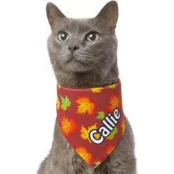 Frisco Fall Leaves Personalized Dog & Cat Bandana 18 Frisco Fall Leaves Personalized Dog & Cat Bandana -Frisco 296994 PT7. AC SS1800 V1627655275