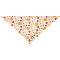 Frisco Pumpkin Spice Personalized Dog & Cat Bandana -Frisco 296998 PT3. AC SS1800 V1627654117