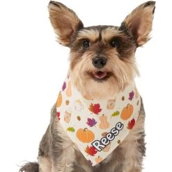 Frisco Pumpkin Spice Personalized Dog & Cat Bandana -Frisco 296998 PT6. AC SS1800 V1627654408