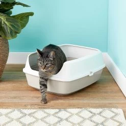 Frisco Decorative Side Table Cat Litter Box Cover & Frisco Open Top Cat Litter Box With Rim, Large 15 Frisco Decorative Side Table Cat Litter Box Cover & Frisco Open Top Cat Litter Box With Rim, Large -Frisco 297992 PT6. AC SS1800 V1621299762