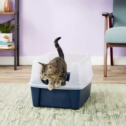 Frisco Plastic Litter Scooper With Caddy & IRIS USA Open Top Litter Box With Scatter Shield 15 Frisco Plastic Litter Scooper With Caddy & IRIS USA Open Top Litter Box With Scatter Shield -Frisco 298166 PT6. AC SS1800 V1623202669