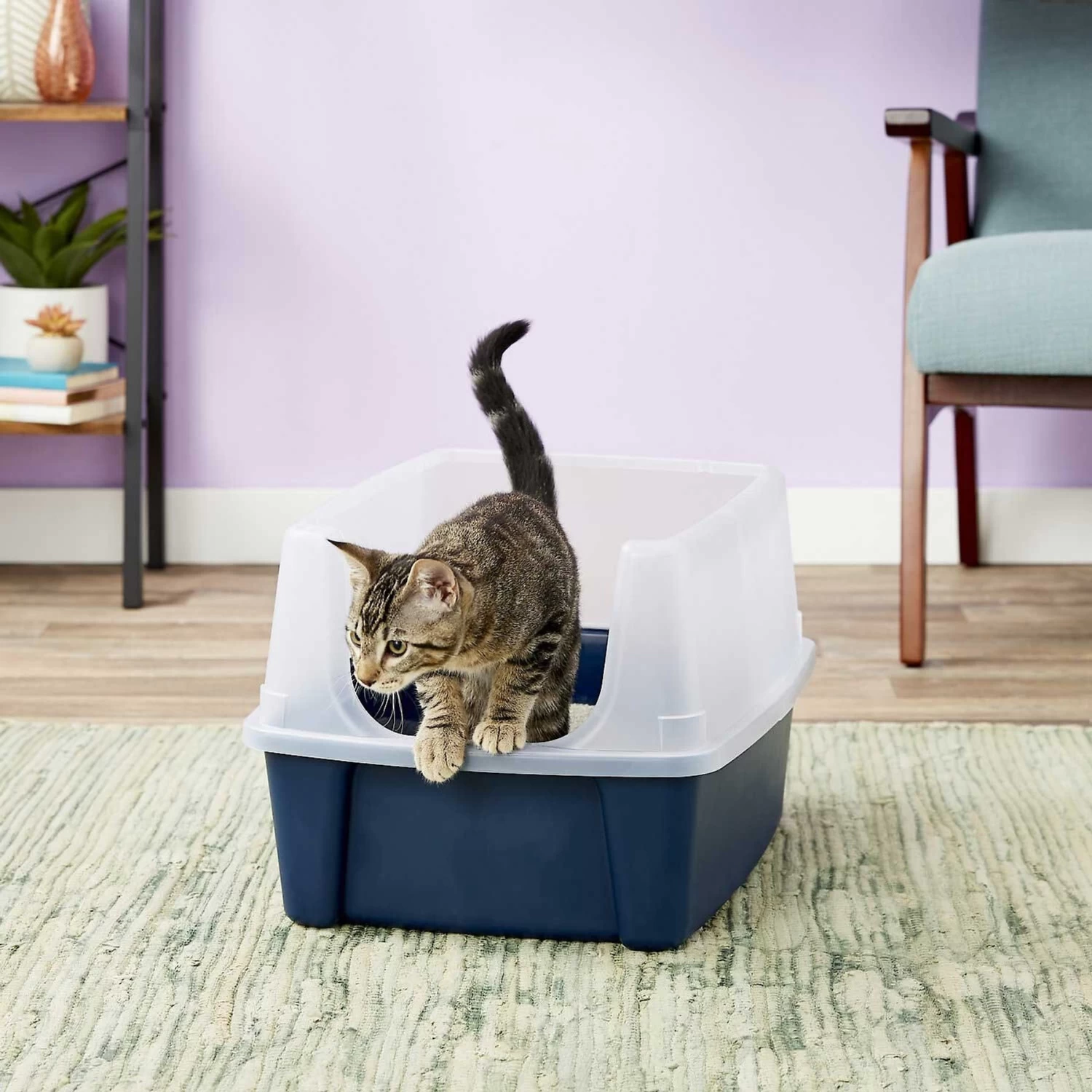 Frisco Plastic Litter Scooper With Caddy & IRIS USA Open Top Litter Box With Scatter Shield 9 Frisco Plastic Litter Scooper With Caddy & IRIS USA Open Top Litter Box With Scatter Shield - Image 7