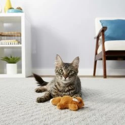 Sheba Meaty Tender Sticks Tuna Flavor Soft Adult Cat Treats & Frisco Squirrel Plush Cat Toy With Refillable Catnip 13 Sheba Meaty Tender Sticks Tuna Flavor Soft Adult Cat Treats & Frisco Squirrel Plush Cat Toy With Refillable Catnip -Frisco 298510 PT5. AC SS1800 V1623201742