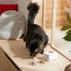 Frisco Lunar New Year Fortune Cookie Plush Cat Toy With Catnip 7 Frisco Lunar New Year Fortune Cookie Plush Cat Toy With Catnip -Frisco 298909 PT3. AC SS1800 V1640269104