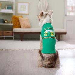 Frisco Let's Get Shamrocked Dog & Cat T-Shirt 13 Frisco Let's Get Shamrocked Dog & Cat T-Shirt -Frisco 300184 PT8. AC SS1800 V1639597401
