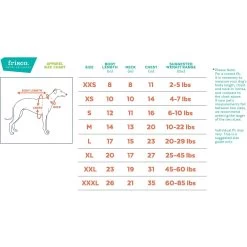 Frisco Hipster Hopster Dog & Cat T-Shirt 9 Frisco Hipster Hopster Dog & Cat T-Shirt -Frisco 300638 PT1. AC SS1800 V1641507726