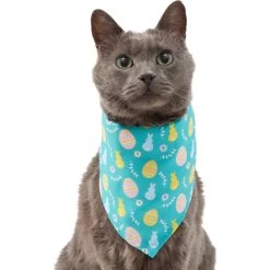 Frisco Spring Easter Egg Dog & Cat Bandana -Frisco 300663 PT2. AC SS1800 V1641537094