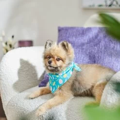 Frisco Spring Easter Egg Dog & Cat Bandana -Frisco 300663 PT5. AC SS1800 V1641539822