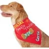 Frisco Official Cookie Tester Personalized Dog & Cat Bandana 1 Frisco Official Cookie Tester Personalized Dog & Cat Bandana -Frisco 301353 MAIN. AC SS1800 V1632923476
