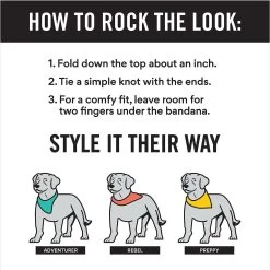 Frisco Fair Isle Personalized Dog & Cat Bandana 12 Frisco Fair Isle Personalized Dog & Cat Bandana -Frisco 301357 PT2. AC SS1800 V1623274656