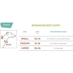 Frisco Snowman & Presents Personalized Dog & Cat Bandana -Frisco 301373 PT1. AC SS1800 V1623274047