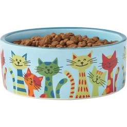 Frisco New York Non-skid Ceramic Cat Dish & Frisco New York Non-skid Ceramic Cat Bowl -Frisco 302488 PT6. AC SS1800 V1623041543