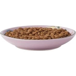 Frisco Paris Non-skid Ceramic Cat Dish & Frisco Paris Non-skid Ceramic Cat Dish -Frisco 302490 PT2. AC SS1800 V1623058041