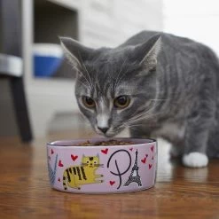 Frisco Paris Non-skid Ceramic Cat Dish & Frisco Paris Non-skid Ceramic Cat Dish -Frisco 302490 PT8. AC SS1800 V1623043046